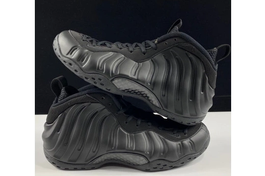 Air One Nike 314996-001 Foamposite Anthracite 0313